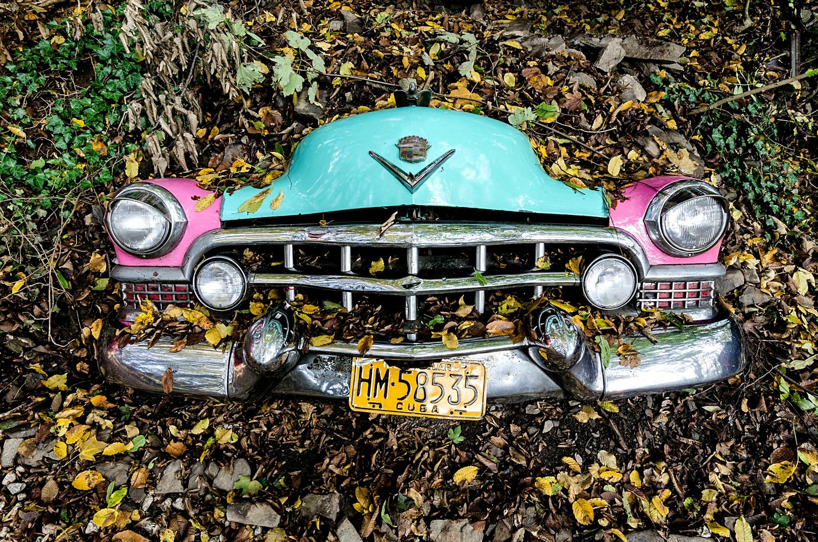 Front view of a classic car covered in autumn leaves, showcasing vintage design.