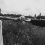 A couple shares a moment of love as they exchange flowers in a serene field.
